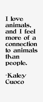 If you visit the killing floor of a slaughterhouse, it will brand your soul for life. Quotes About Connection With Animals 20 Quotes
