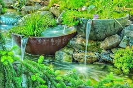 5 ideas to make your water garden great