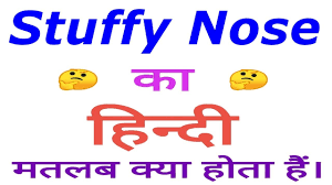 stuffy nose meaning in hindi stuffy