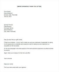 Business Thank You Note Template With Letter For Opportunity Sample