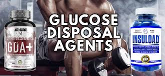 glucose disposal agents i ll pump you