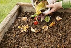 How To Make The Best Organic Compost