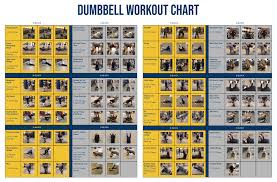 dumbbell exercises chart 10 free pdf