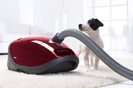 best vacuums for pet hair and dander