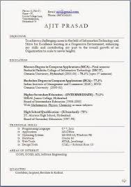 Good Resume Objective Examples Sample Template Example Of