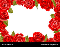 red roses royalty free vector image