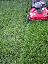 How To Mow Your Lawn