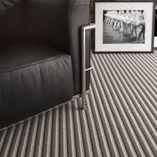 coolmine carpets carpets