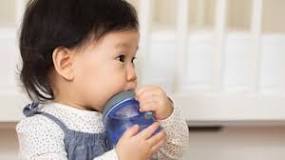 Can babies drink water?