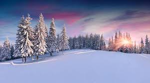 1,111,778 Beautiful Snow Scene Stock Photos, Pictures & Royalty-Free Images  - iStock