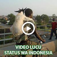 Are you see now top 10 dowload vidio lucu results on the web. Updated Video Lucu Status Wa Mod App Download For Pc Android 2021