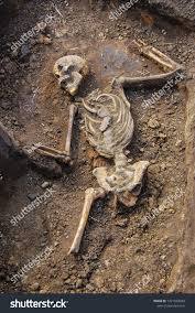 Skeleton Dead Man Soldiers Stock Photo 1471063928 | Shutterstock