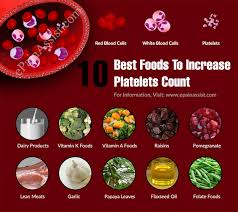 10 Best Foods To Increase Platelets Count