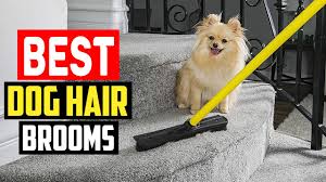 top 5 best dog hair brooms in 2022