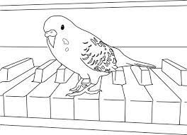 Simply do online coloring for two parakeet mating coloring page directly from your gadget, support for ipad, android tab or using our web feature. Parakeet Playing Piano Coloring Page Parakeet Coloring Pages Art Kit