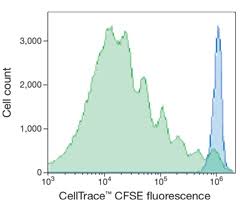 Celltrace Cfse Cell Proliferation Kit Protocol Thermo Fisher