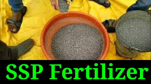 single super phosp fertilizer how