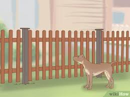 3 Ways To Keep Dogs Out Of Gardens
