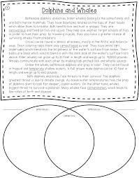 Informative Explanatory Writing  Writers Workshop  Anchor Chart  Compare  and Contrast Essay  Pinterest