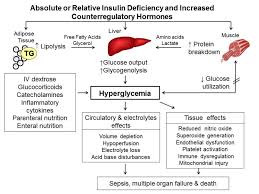 hyperglycemia in hospitalized patients