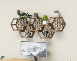 Hexagon Shelves Honeycomb Plant Shelf