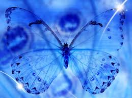 A collection of the top 69 blue butterfly wallpapers and backgrounds available for download for free. Iphone Light Blue Butterfly Wallpaper