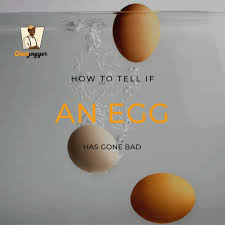 If the egg floats, it's bad. Chick Jagger How To Tell If An Egg Has Gone Bad Bombo