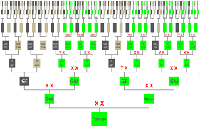 X Chromosome Inheritance Chart Female Dna Genealogy
