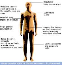 Functions Of Water In The Body Mayo Clinic