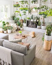 How To Arrange Plants In A Living Room
