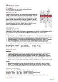 Resume for Operations and Staff Management   Susan Ireland Resumes LiveCareer Tutor Resume Template Free Word Excel PDF Format Download