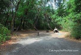 Most are not too demanding, taking you into some breathtaking redwood groves. Henry Cowell Redwoods State Park Campsite Photos Camping Info