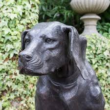 Bronze Labrador Dog