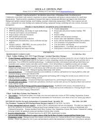 Business Analyst Resume Templates Samples Create Your Astonishing