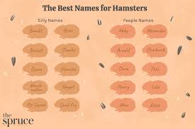 100 names for pet hamsters