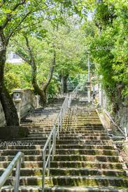 伊豆山神社参道の石階段 写真素材 [ 4679595 ] - フォトライブラリー photolibrary