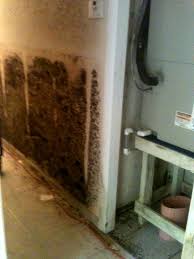 The amount of mold growth at this time looks minimal, but it will likely worsen with time. 100 Pictures Of Mold In The Home