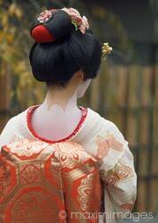 maiko closeup of back in kimono