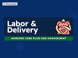 precipitous labor nursing care plans