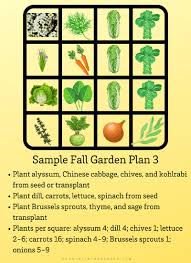 Garden Planning In 5 Simple Steps