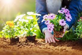 How To Become A Professional Gardener