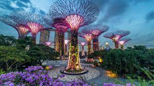 gardens by the bay park in singapore