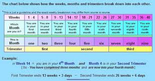 Pregnancy Calendar Week By Week Day By Day