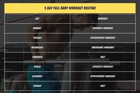 the 5 day full body workout routine