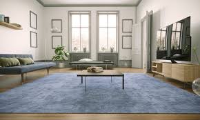carpet cleaning for schaumburg il trend