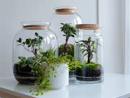 Indoor Garden Gift Ideas