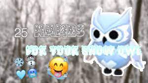 25 names for a snow owl roblox adopt