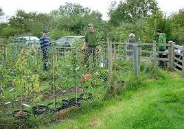 Got S Gloucestershire Fruit Varieties Site