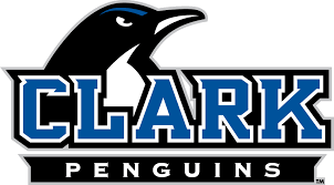 Image result for penguin high school mascot