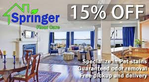 specials springer floor care